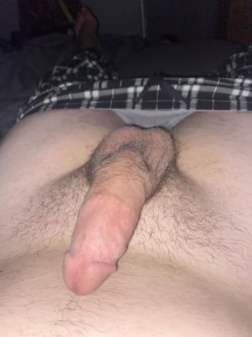 Looking for big dicks that I can suck