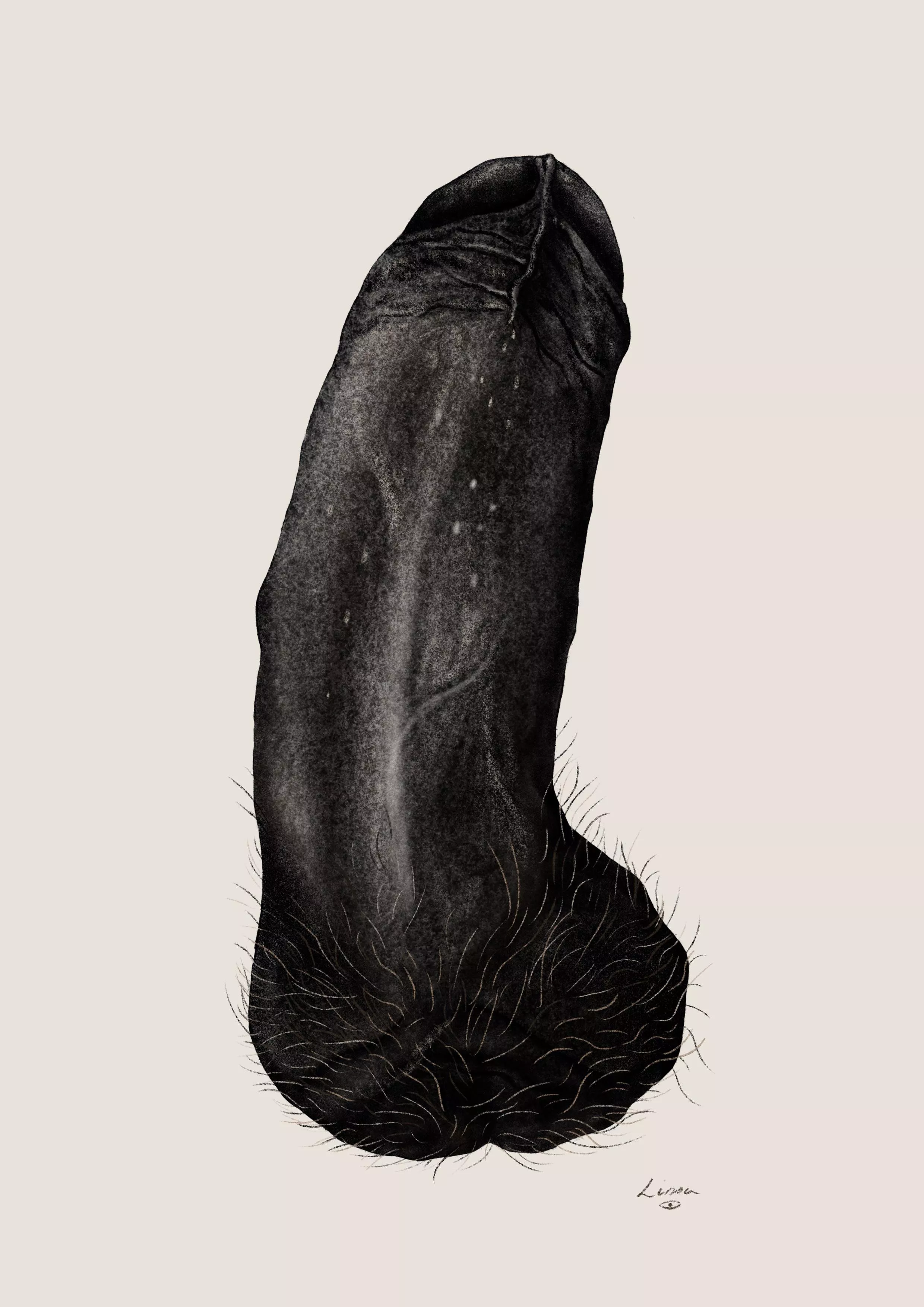 Penis portrait