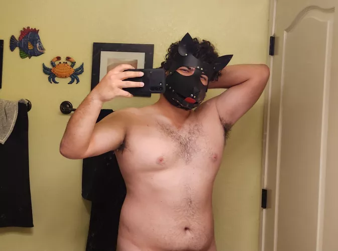 Pup is feeling confident, decided to show off!