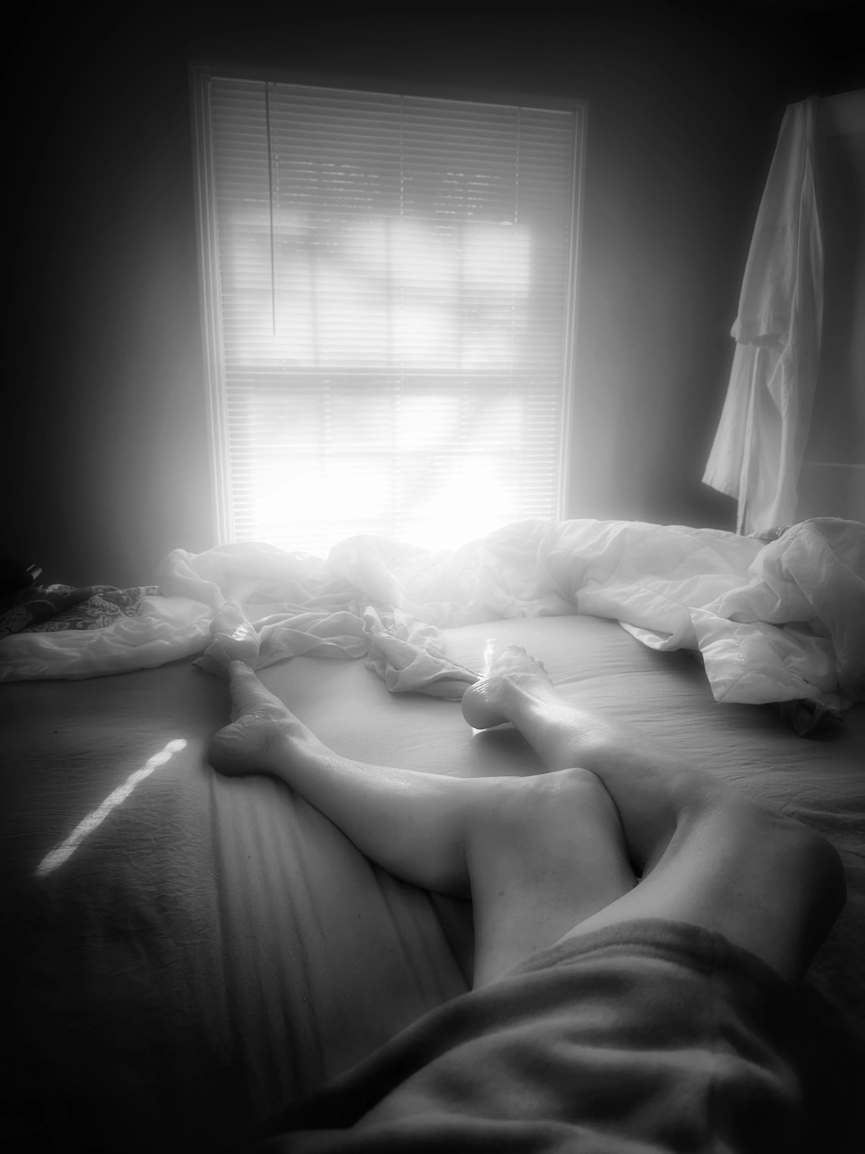 Quiet morning reflections ..