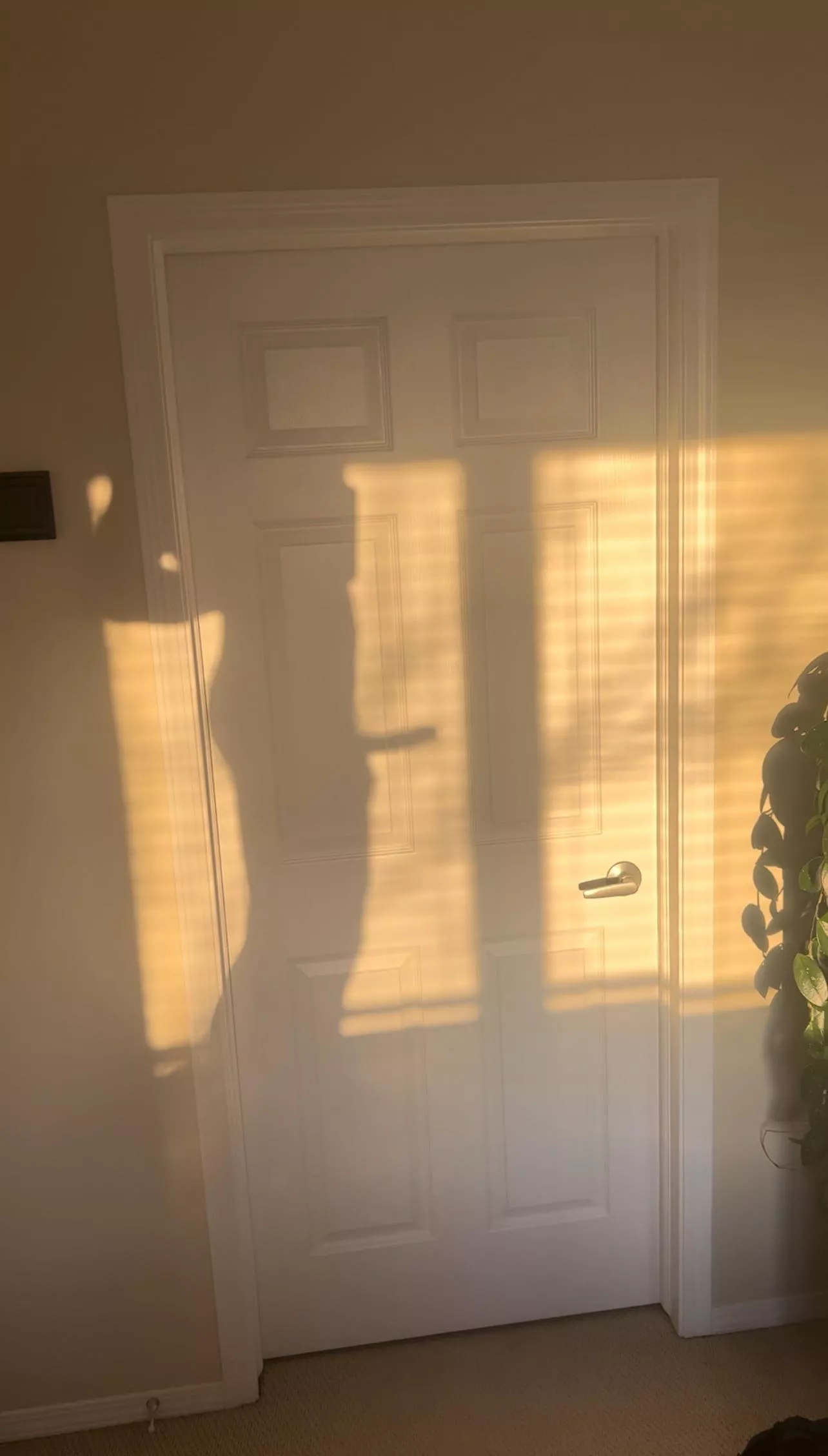 Rock hard, who’s ready to serve