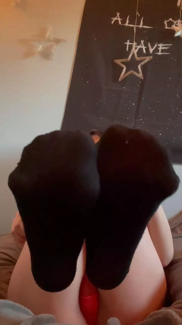 Spreading wide, don't be shy say hi 😚