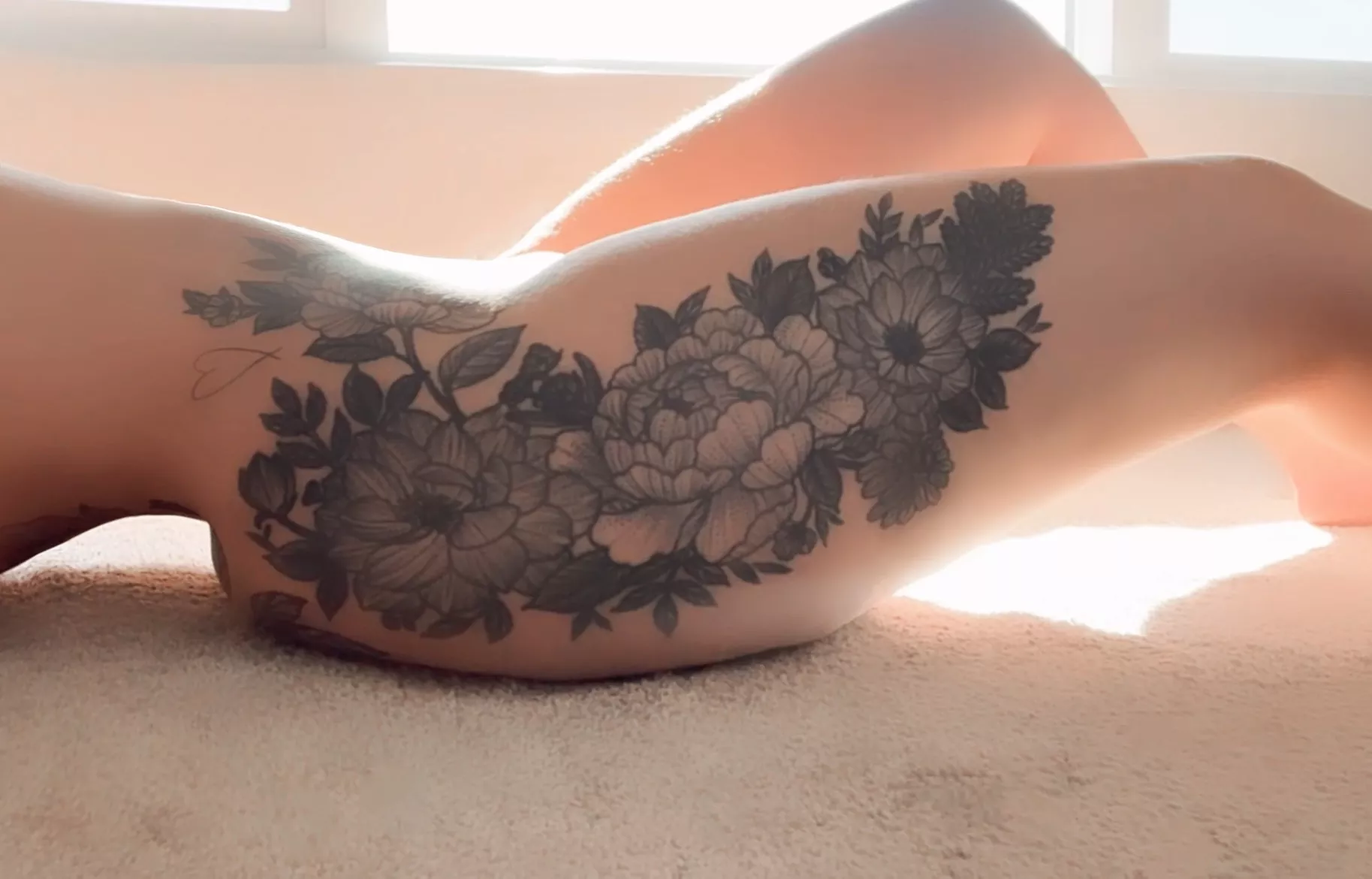 sunbeams and gardens