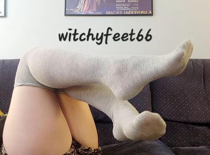 They are so cute 😊