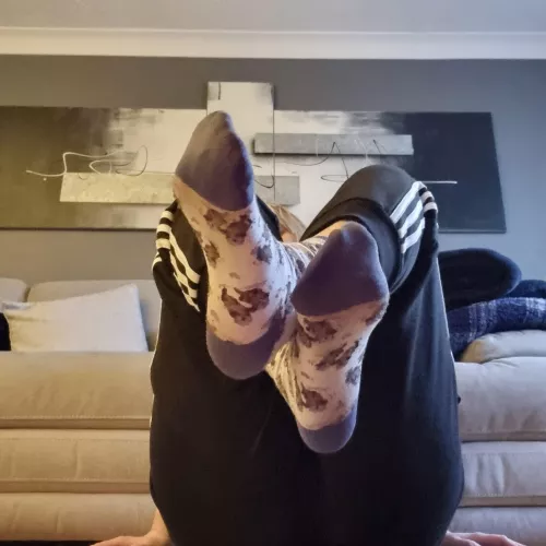 wish you could smell these 🤤