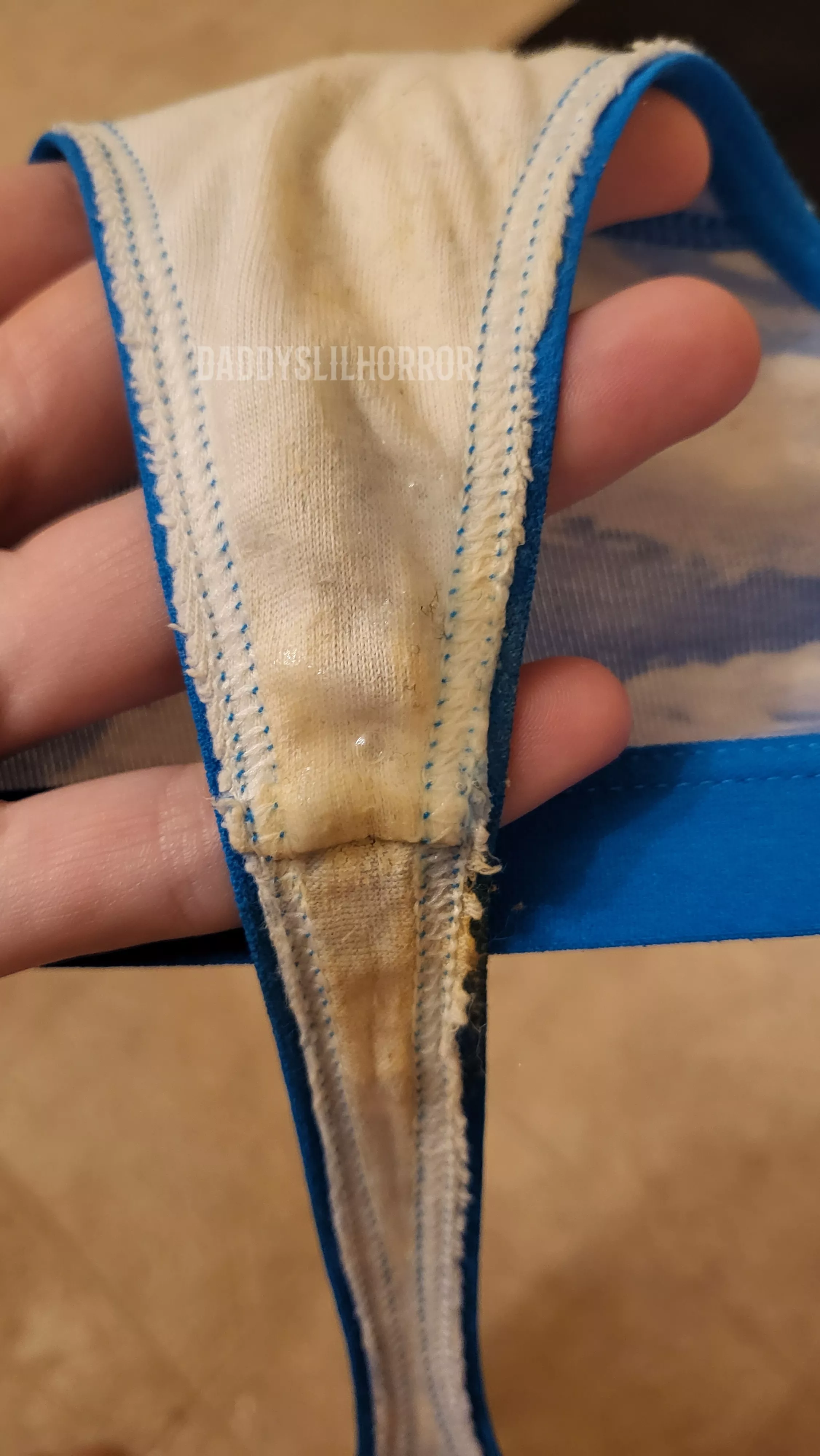 Would You Steal My Dirty Panties?