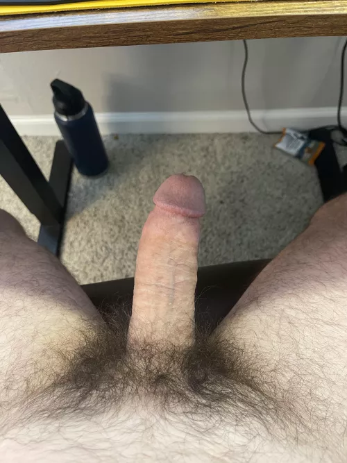 [27] casual Friday at the office