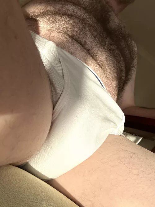 All Papa Bear wears on a Saturday night