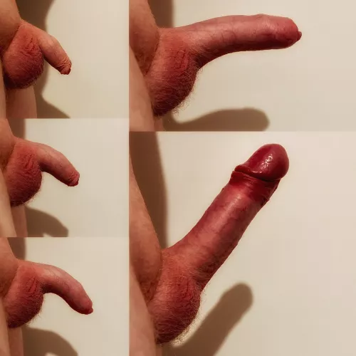 Have you seen a grower like this before?