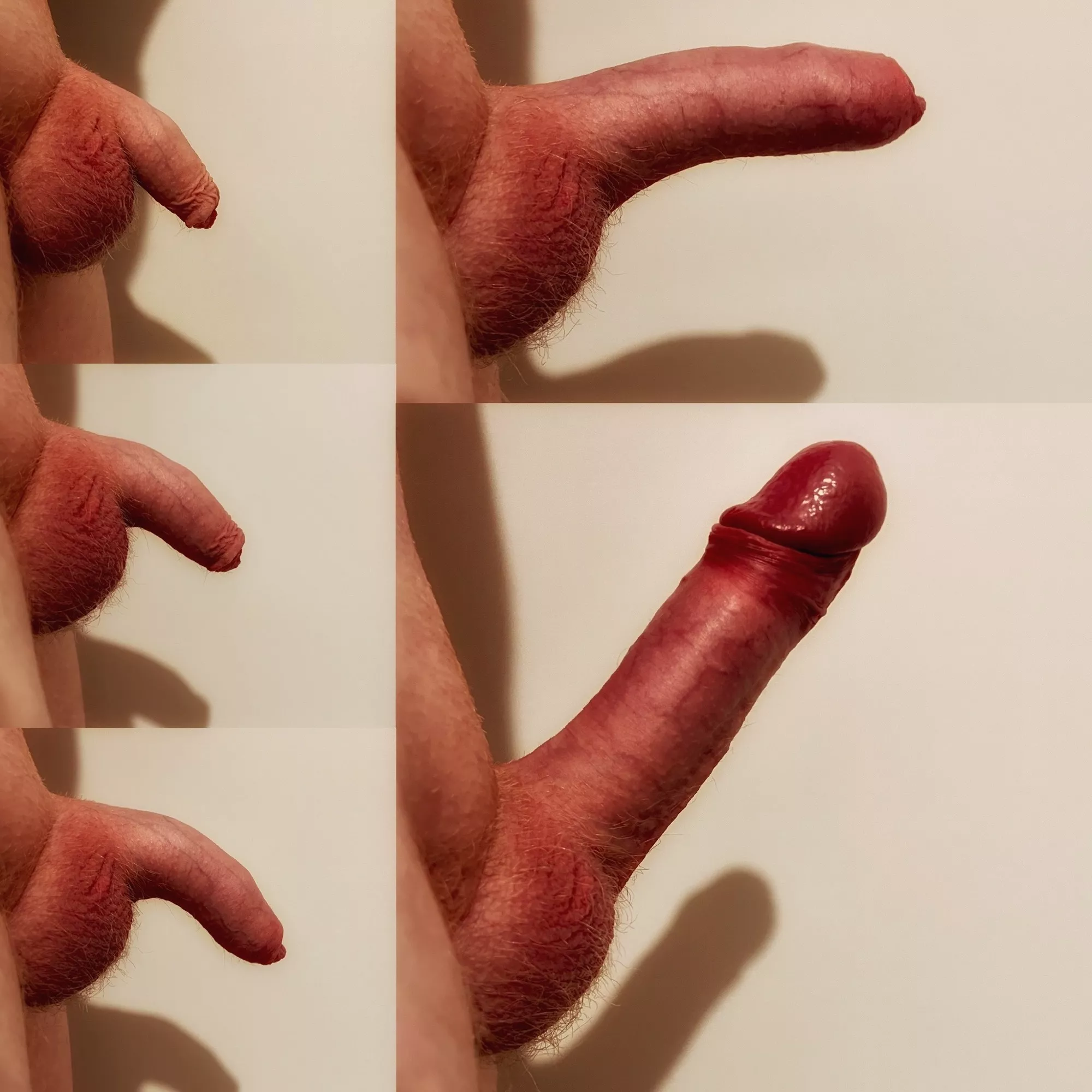 Have you seen a grower like this before?