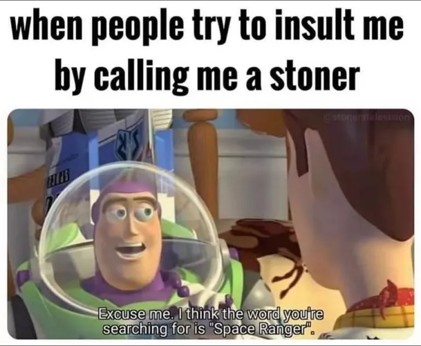 Insulting a stoner
