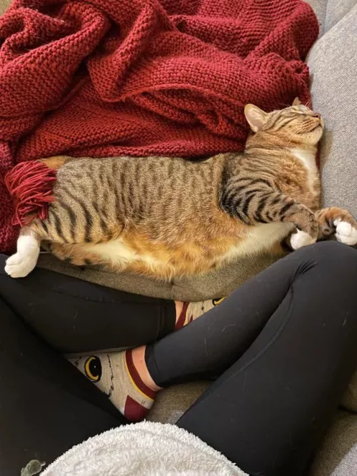 Look at my hairy pussy