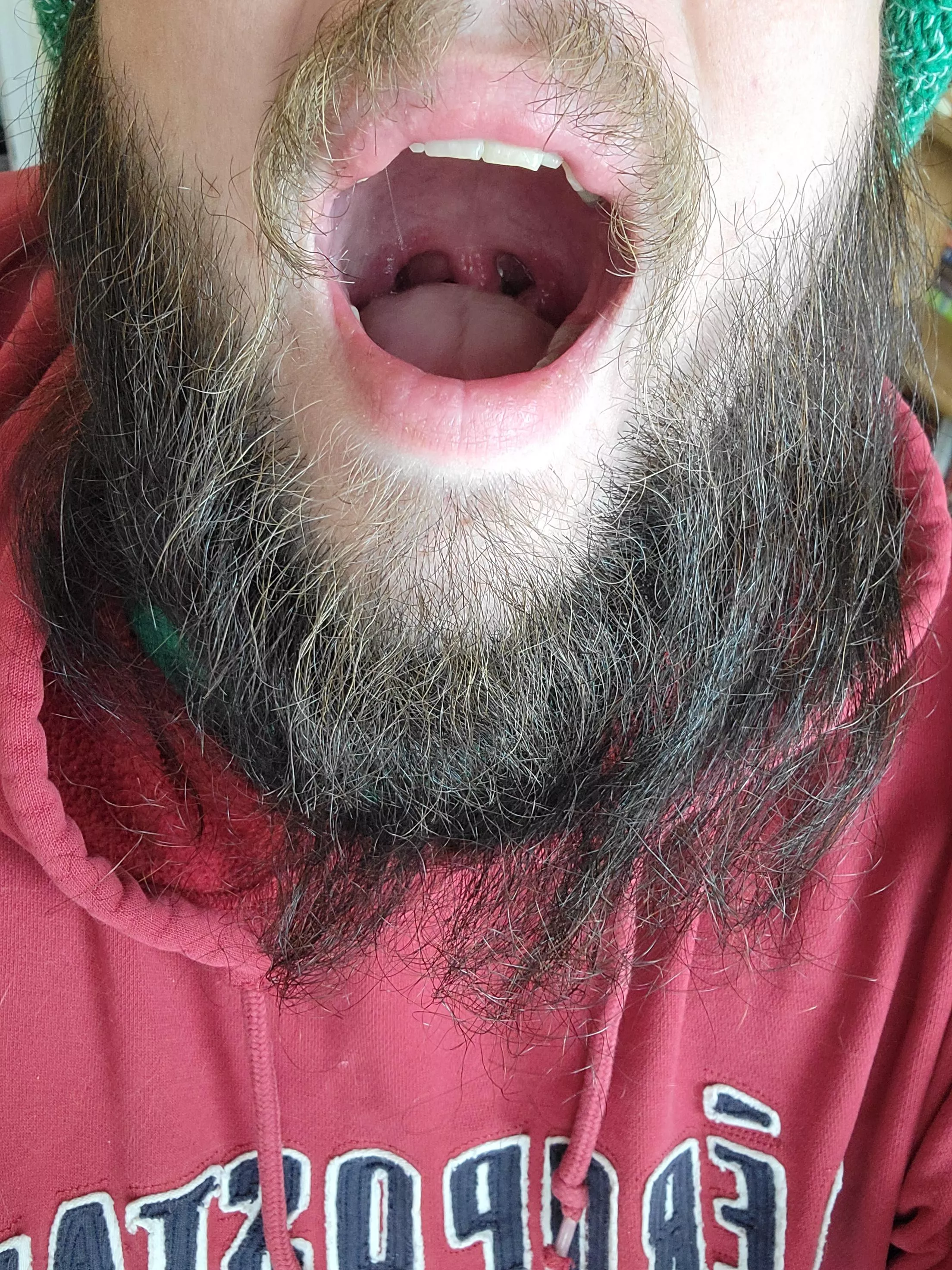 Looking to drink from the tap