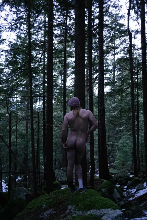 nice little shoot in the forest