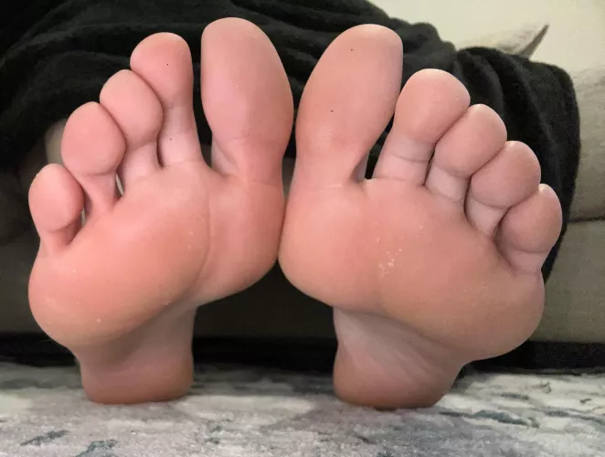 Ready to put them in your lap