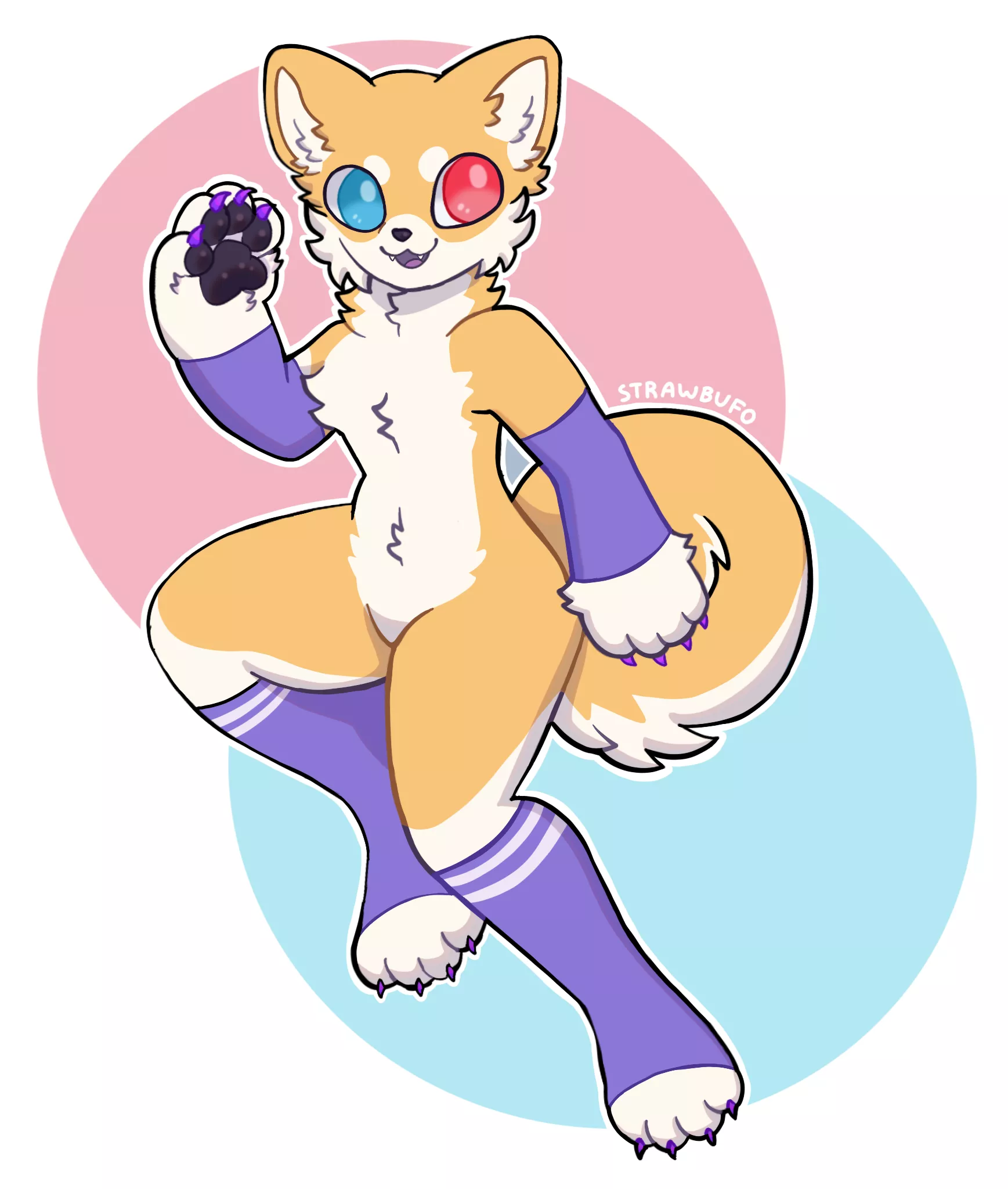 shiba ❤️💙 (art by me)