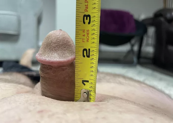 Since so many asked “how big does it get?”