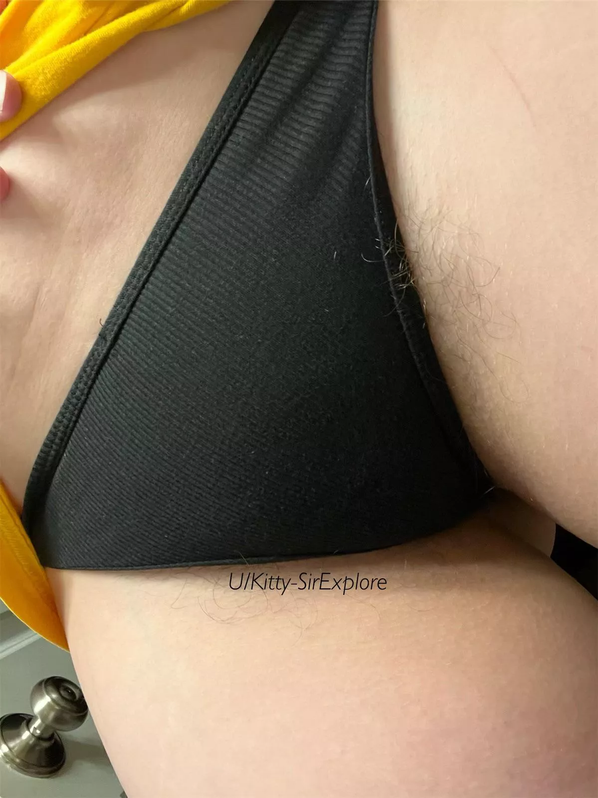 The bush is starting to escape 🫣