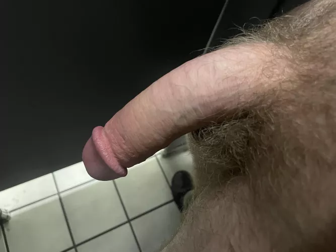 This cock loves pounding ass