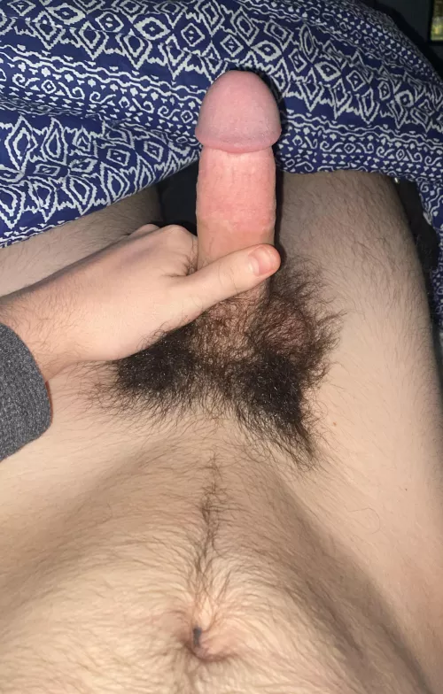 Thoughts on my bush?