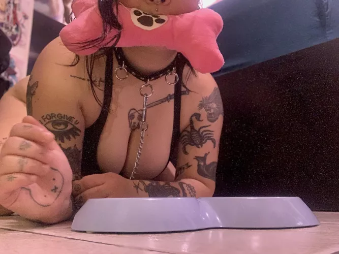 want me to lap up your cum?