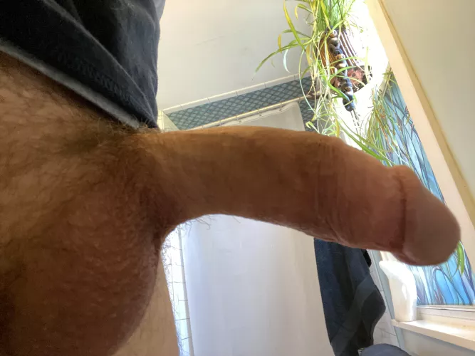 [46] naturally lit dad cock