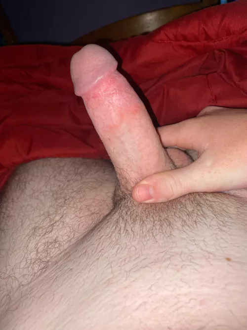 Do you like my cock?