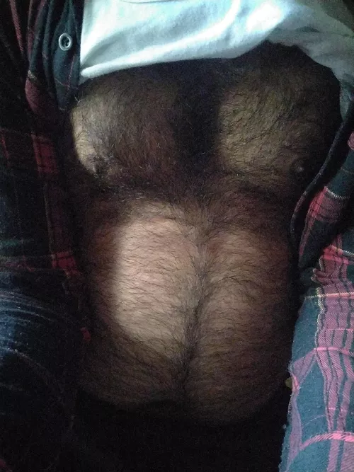 For hairy chest lovers