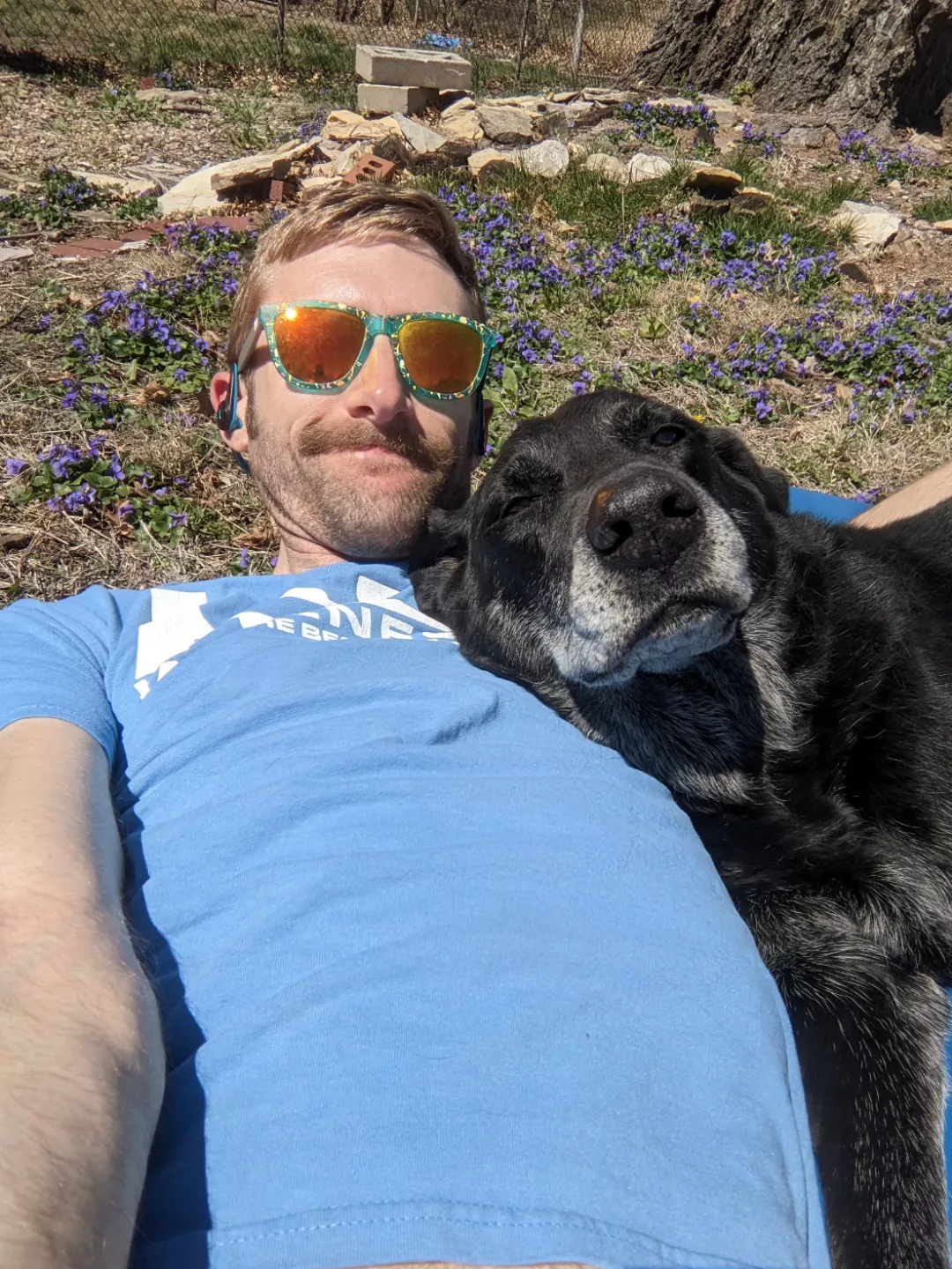 Hoping some basking helps my mood. Baxter seems to be content.