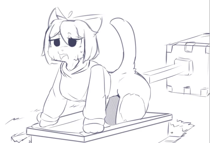 I cought a cat in a boat [F] (@allan_z8)