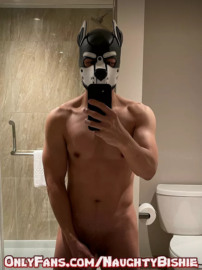Muscle pup