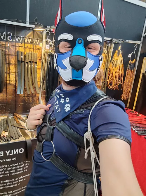 Pup got new gear ⚙️