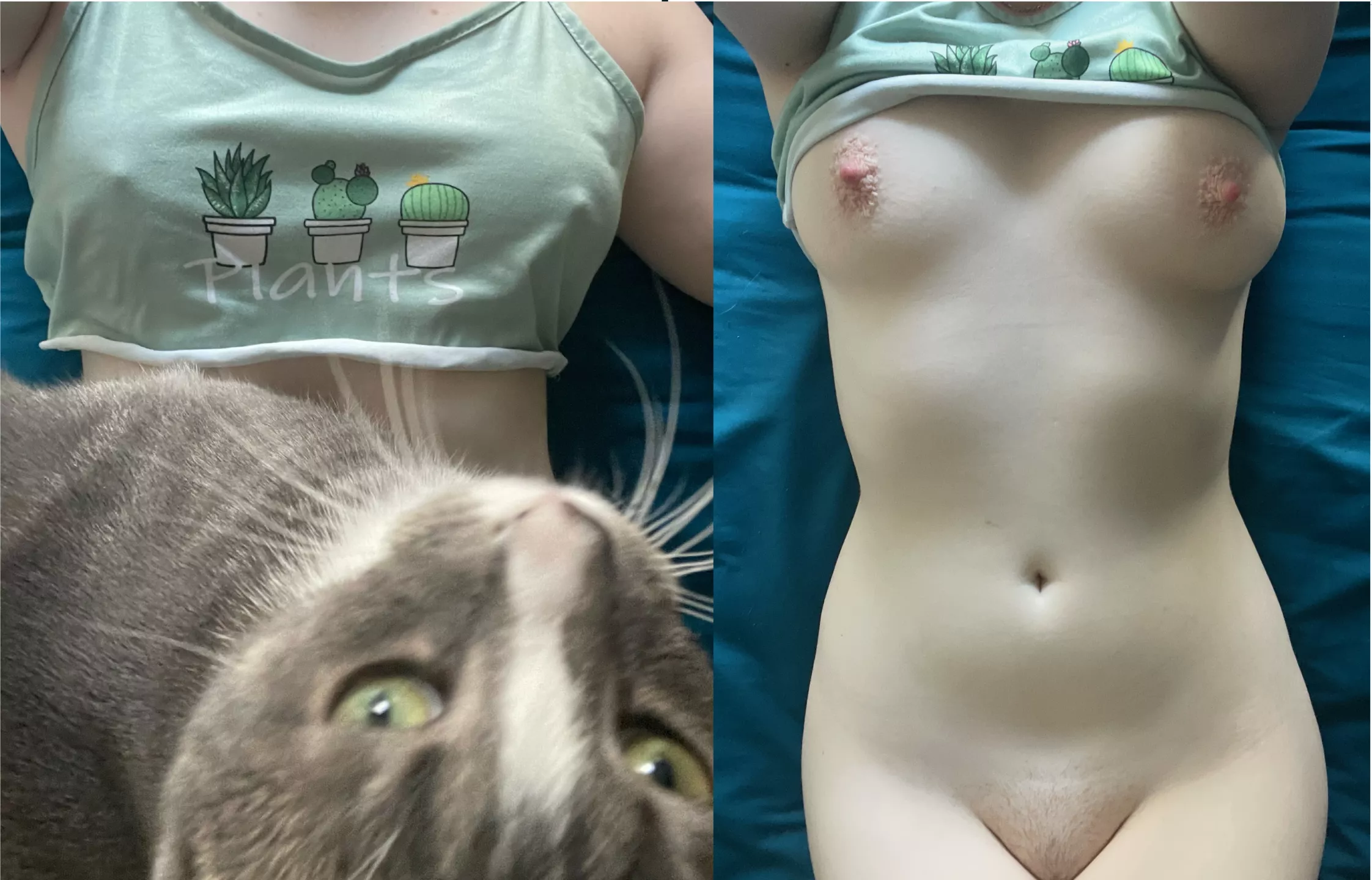 Pyjama onoff featuring my cat 🤦‍♀️