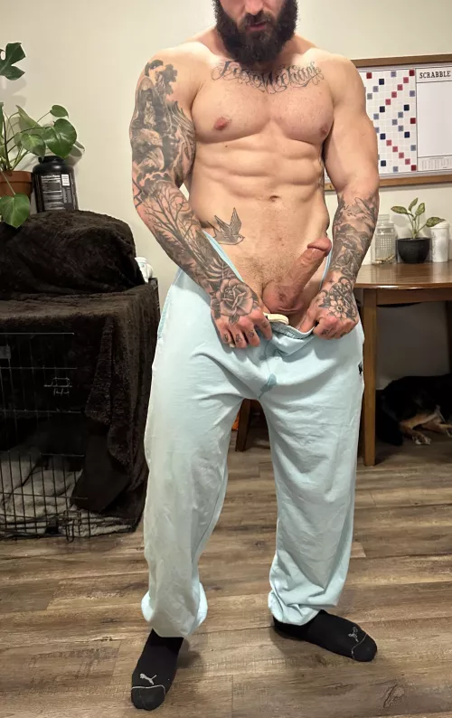 Ready for your Saturday night entertainment