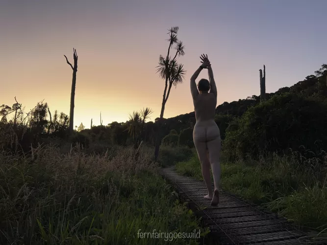 Sunset silhouette (OC)