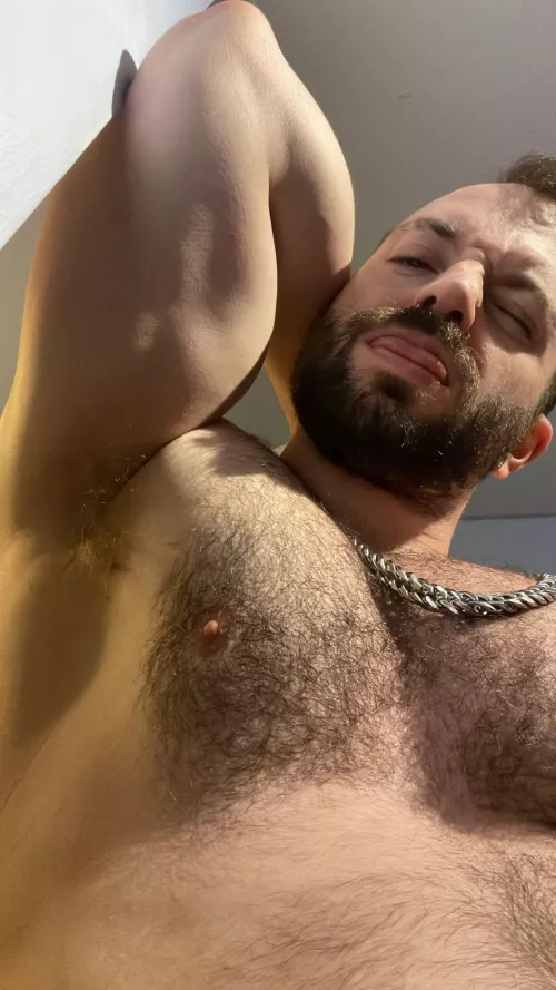 The Himbo Mating Call