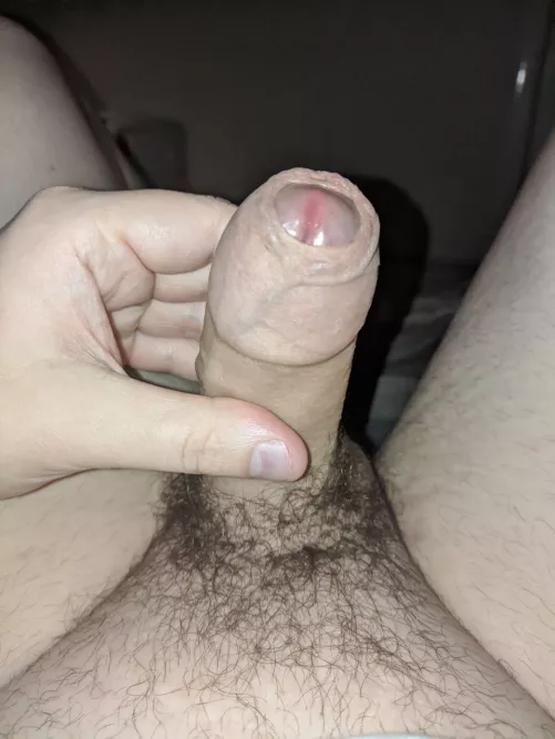 Who would taste it?