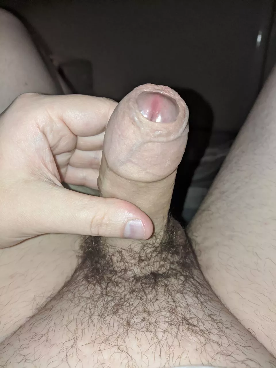 Who would taste it?