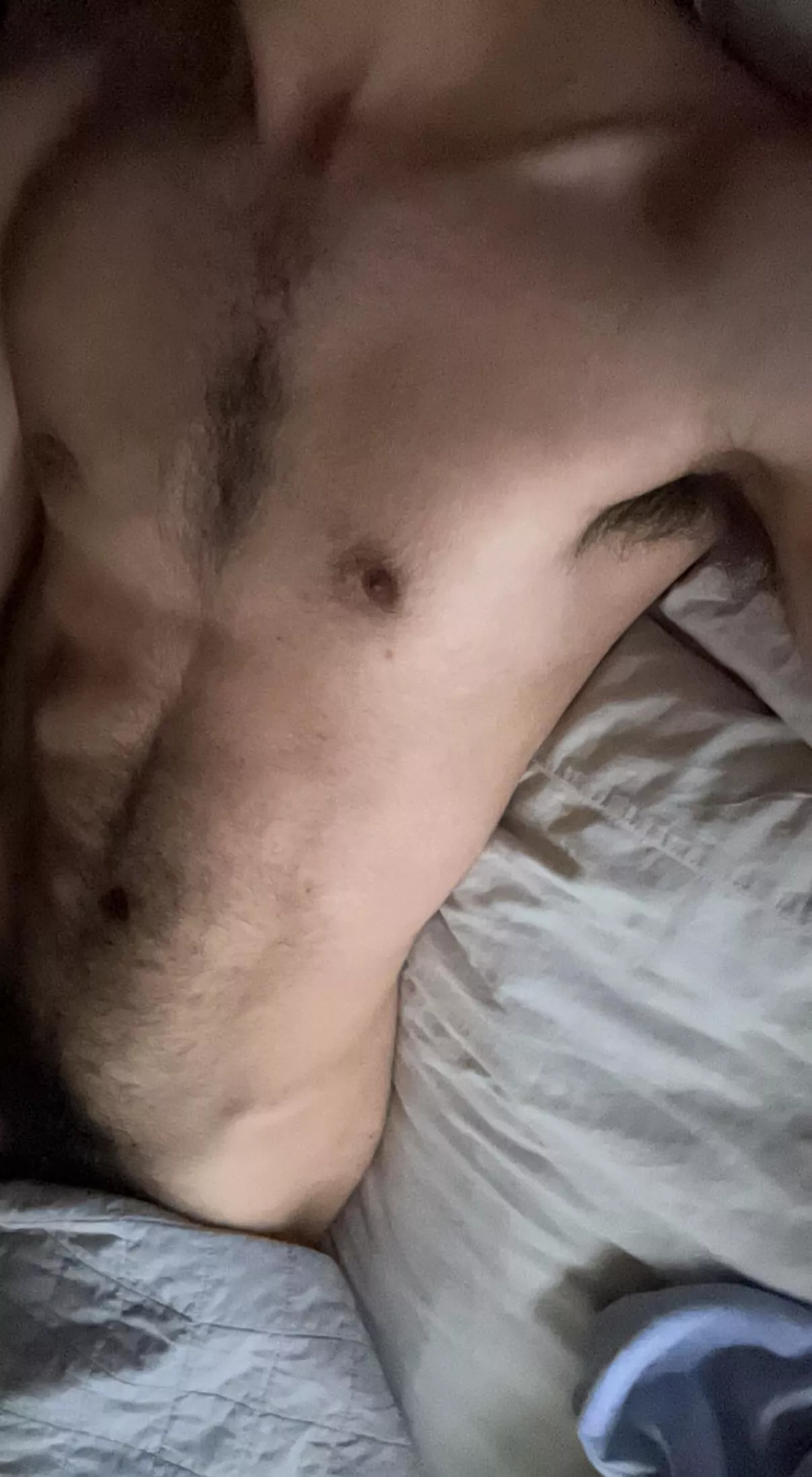 19 hairy - ryan_x2245 19 hairy - ryan_x2245