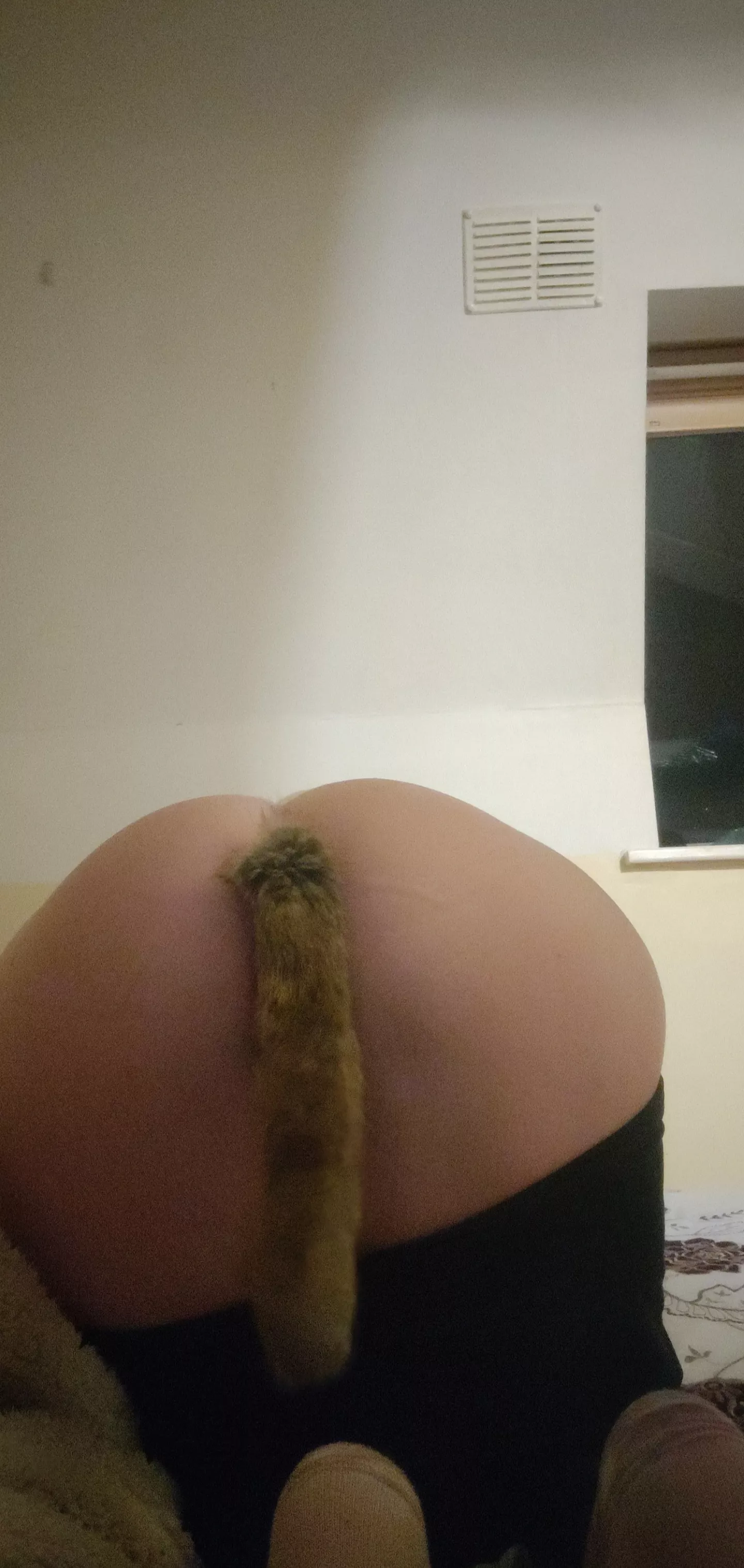 My first tail xx