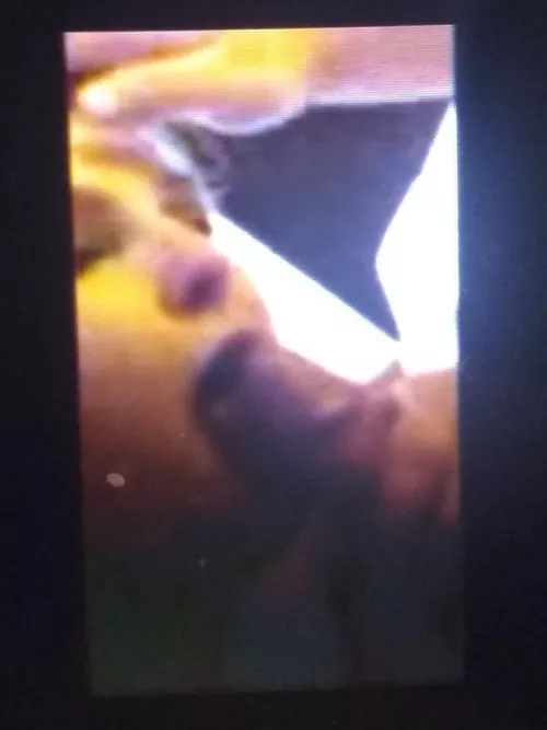 My loves first time sucking a bbc anyone wanna chat bout her or white girls with black guys in general