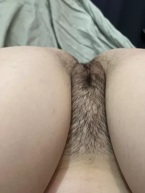 Nice and hairy pussy