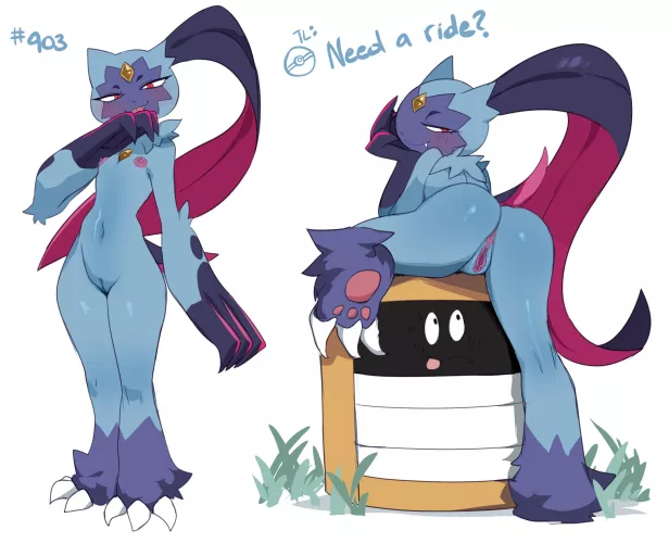 Sneasler´s Invitation