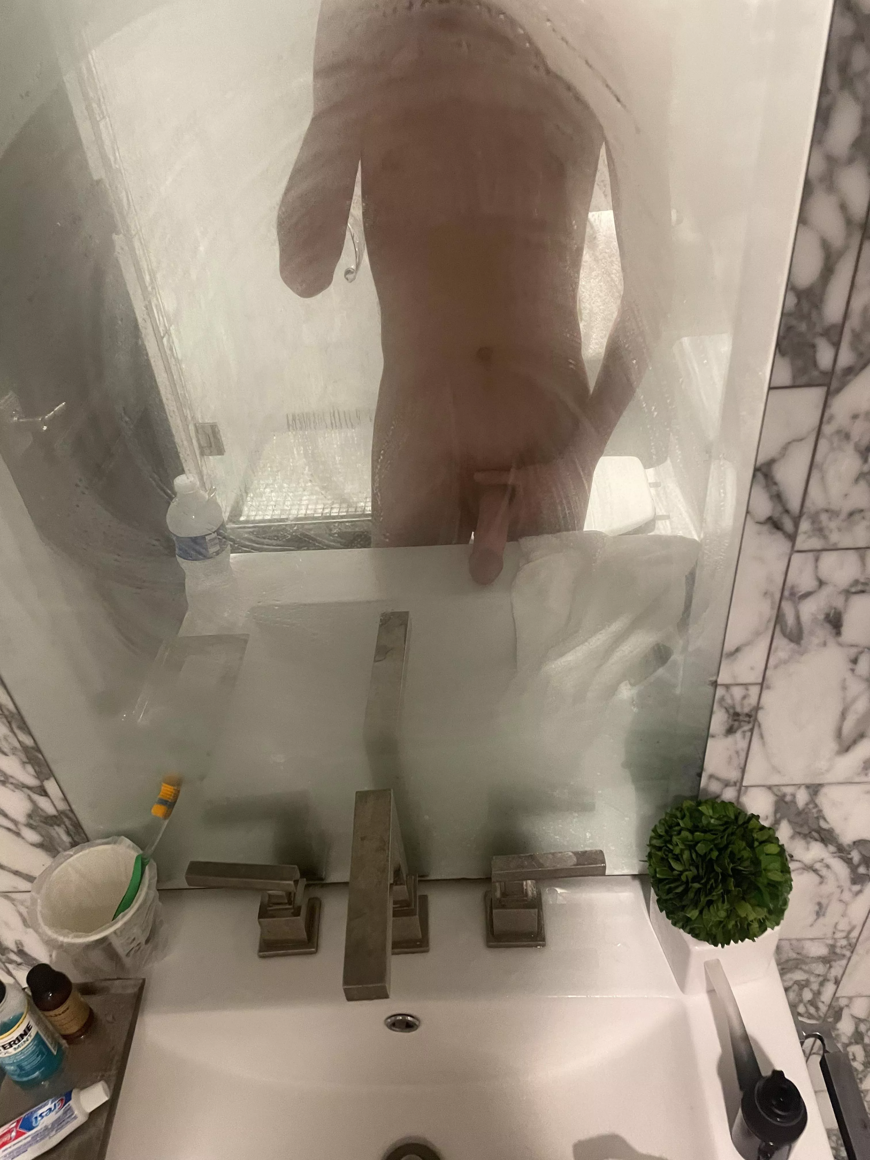 20m bull ready for fun