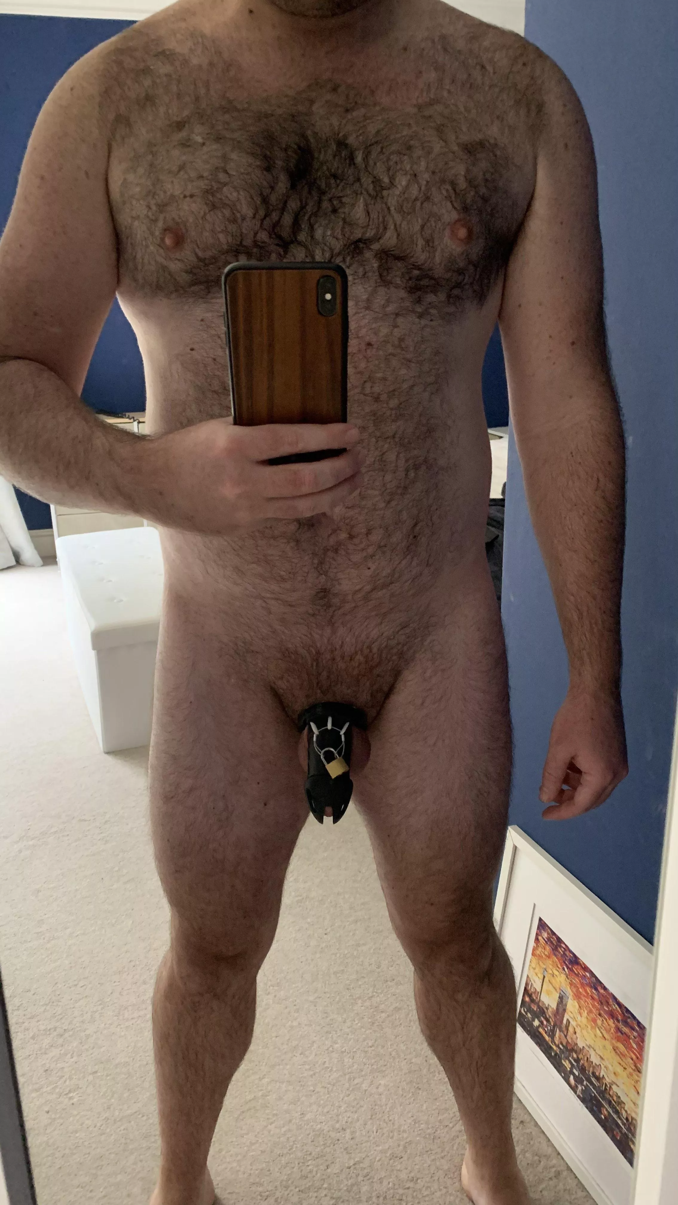 [32] This pup is locked up as he should be