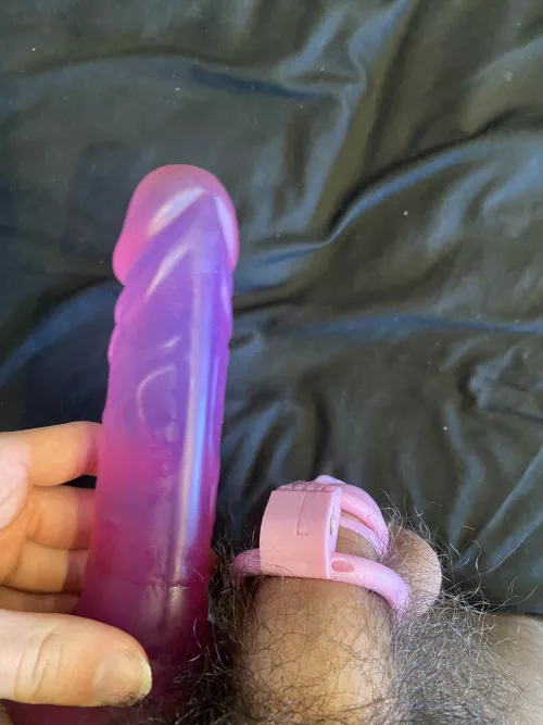 Better to be locked up and using a chastity to satisfy my mommy(you can bully me)