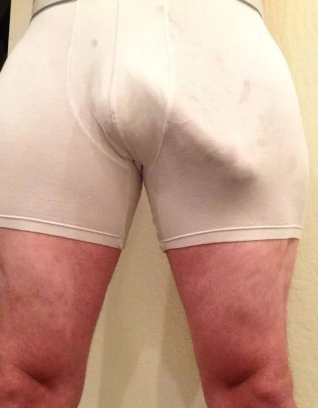 Briefs