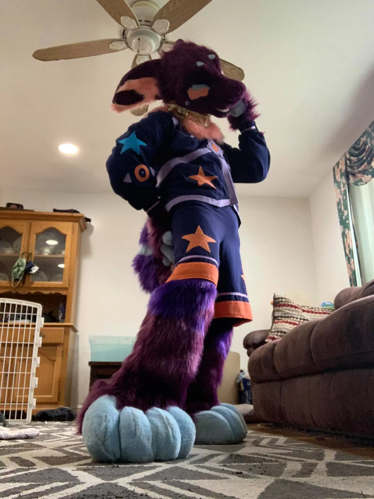 cossuit?