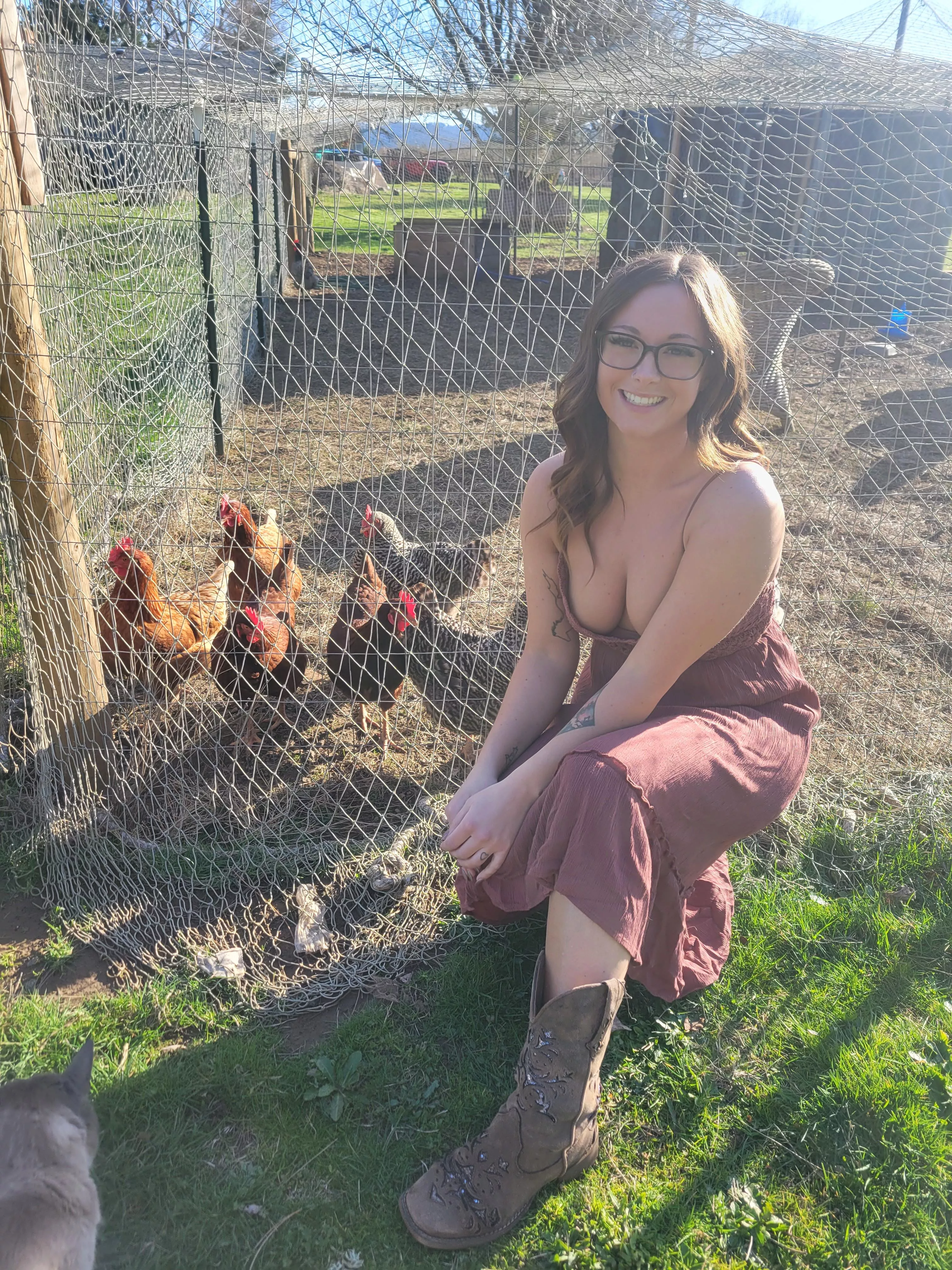 Did my chickens distract you?