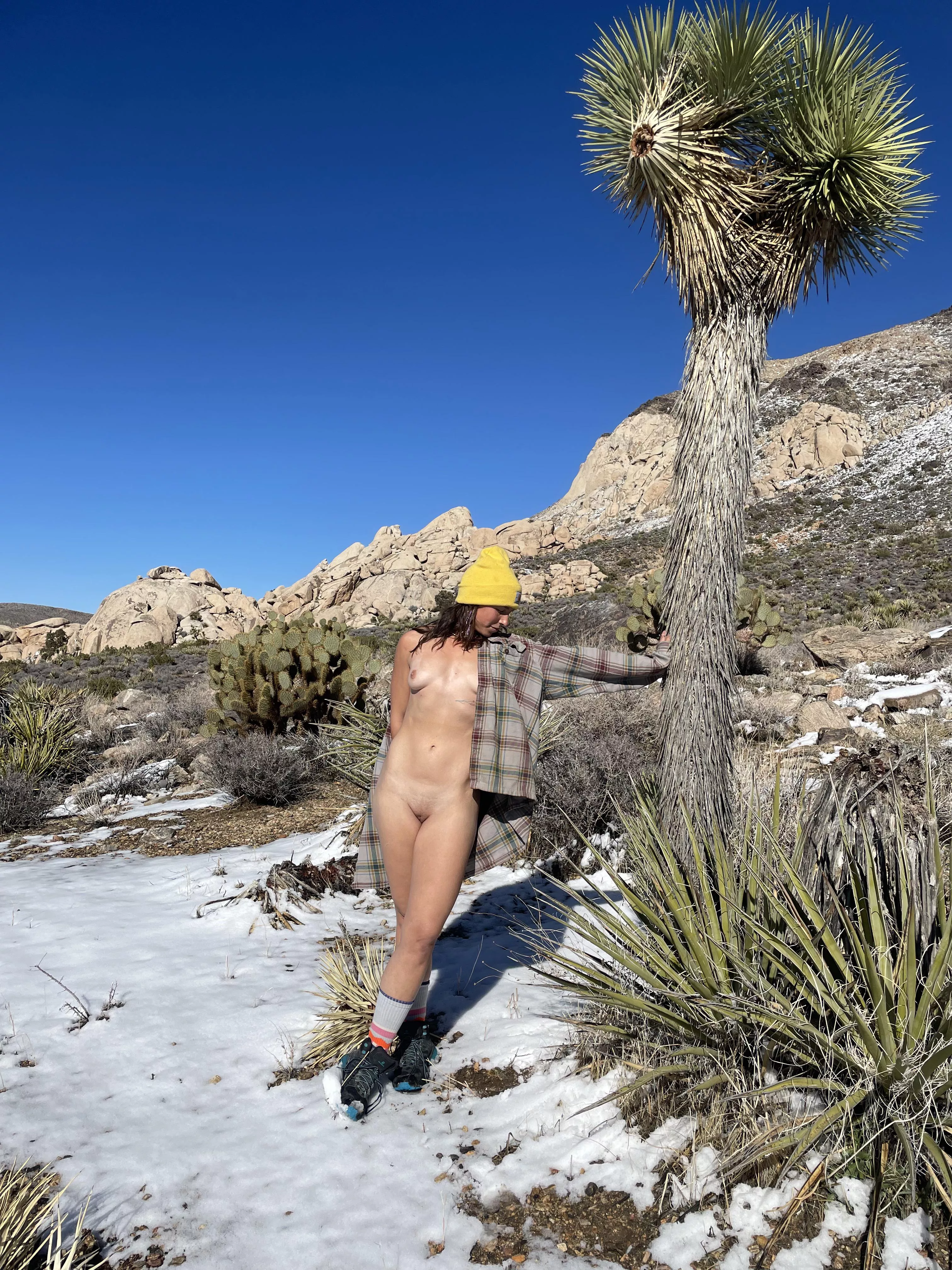 Flashing on a hike in JTree ⛰️😈